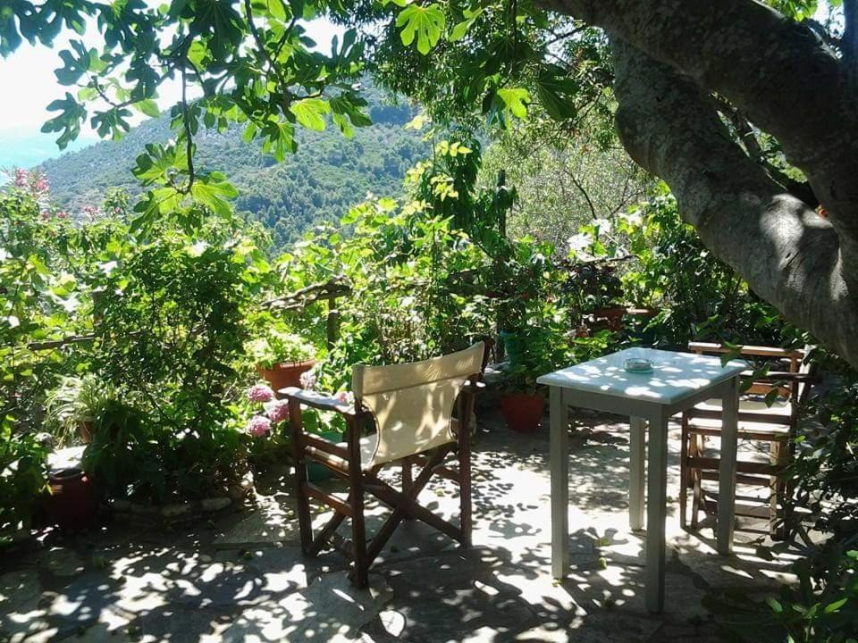 Villa Panayiota Alónnisos Extérieur photo