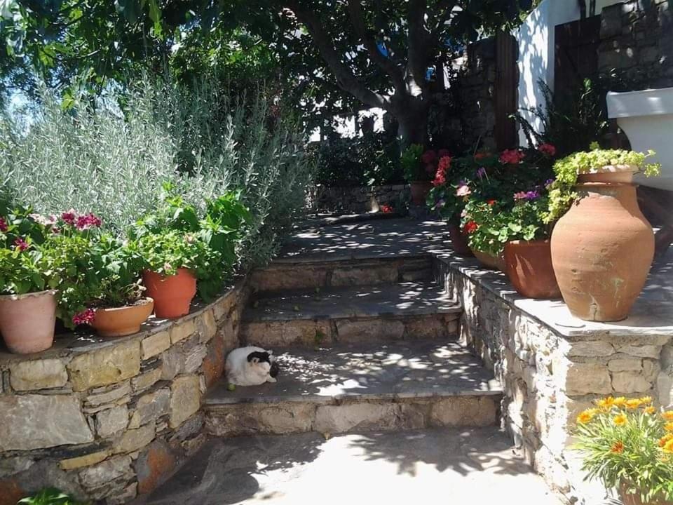 Villa Panayiota Alónnisos Extérieur photo