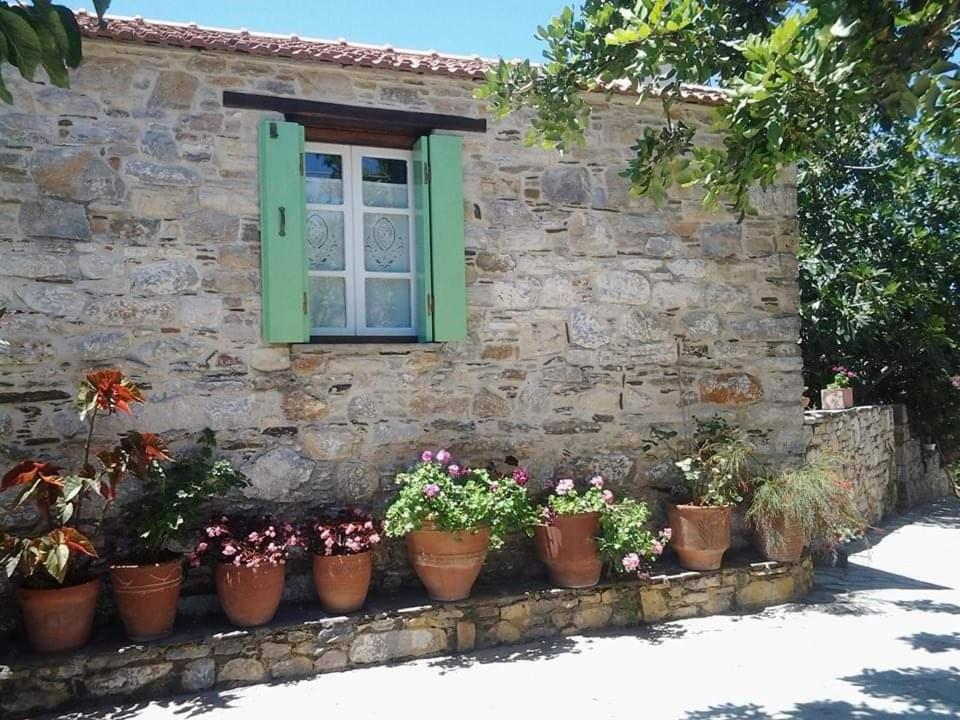 Villa Panayiota Alónnisos Extérieur photo