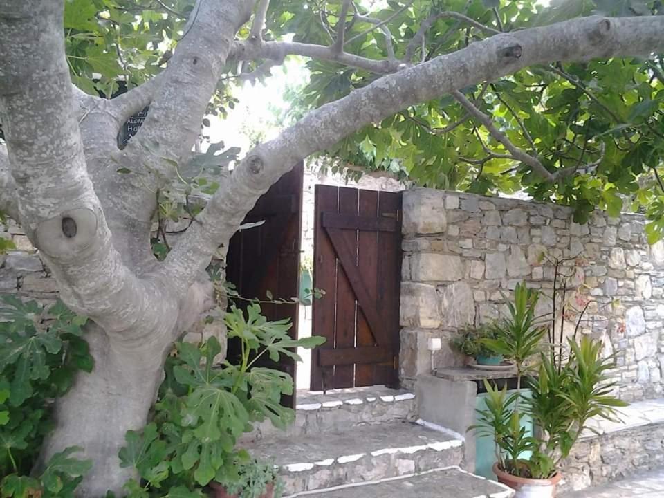 Villa Panayiota Alónnisos Extérieur photo