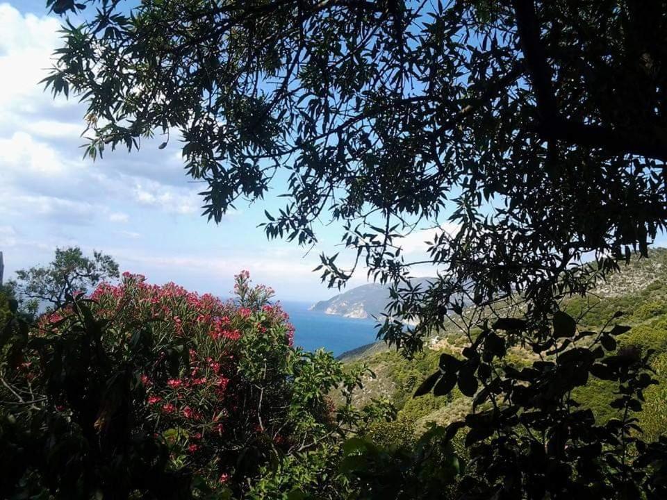 Villa Panayiota Alónnisos Extérieur photo